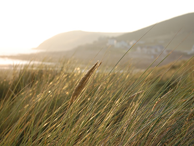 Sunset in the dunes at Croyde Bay