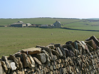 Rolling farmland at Baggy Point, on the North Devon coast