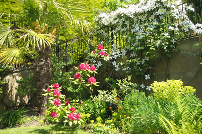 The garden features many exotic plants